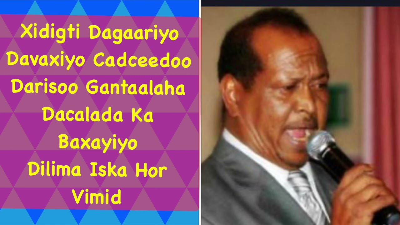 Tijaabi codkaaga XASAN AADAN SAMATAR | HEESTII DOOKH LYRICS #subscribe #like #share #comment