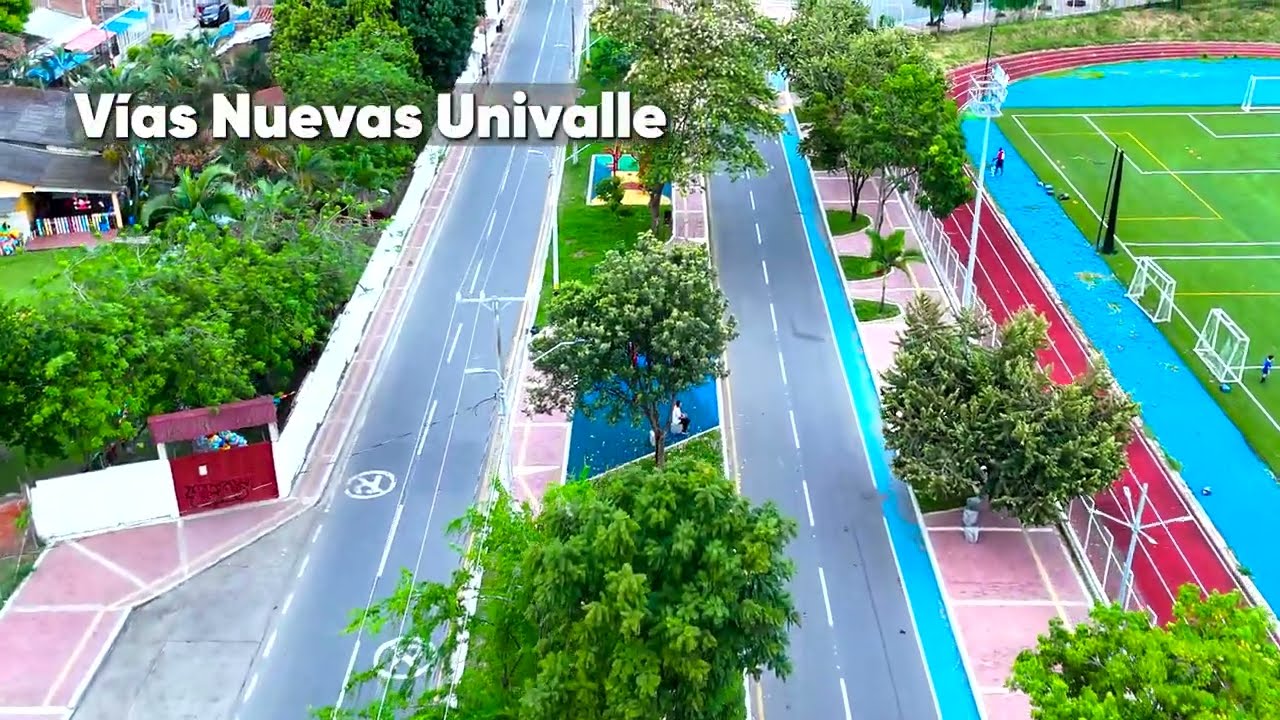 Video Palmira se Transforma