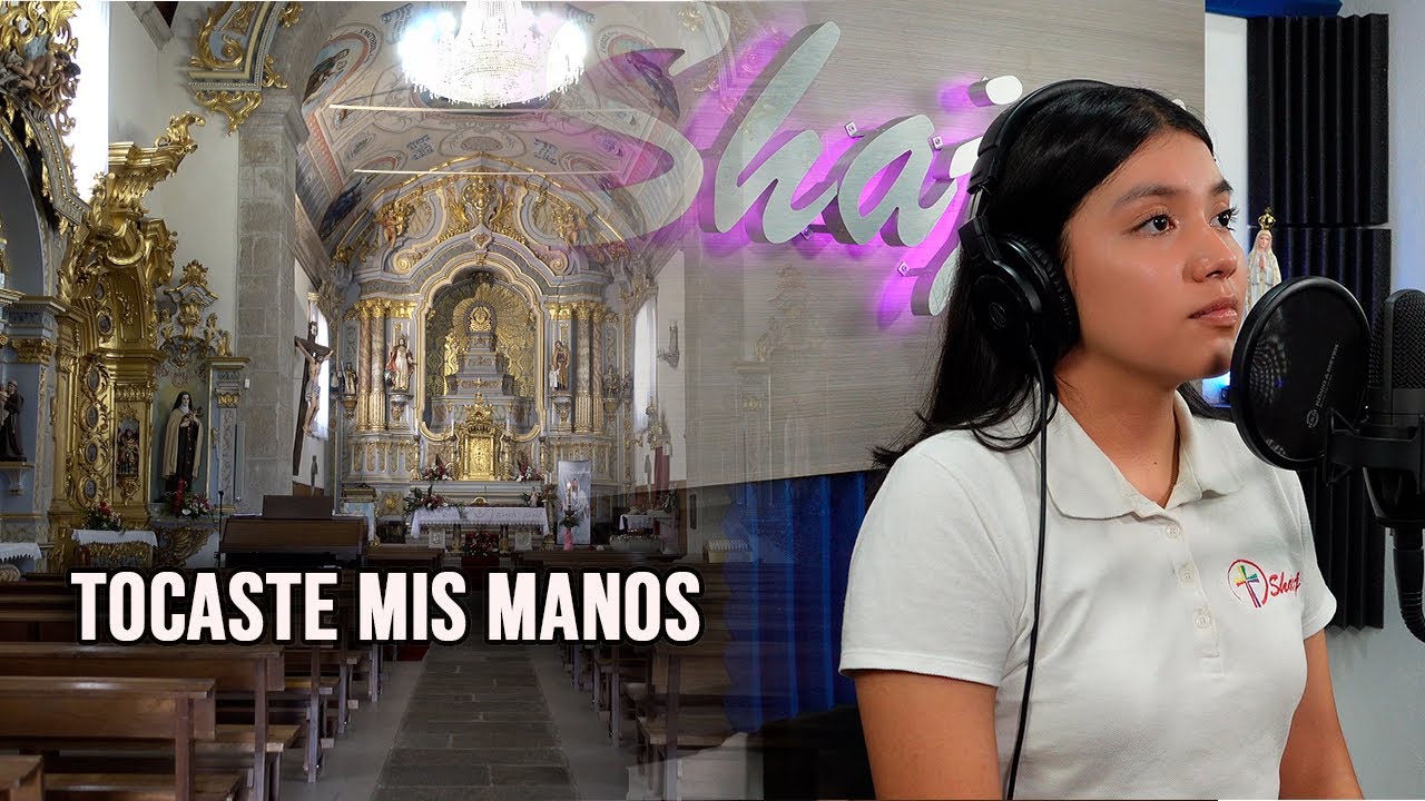 Tocaste mis manos -