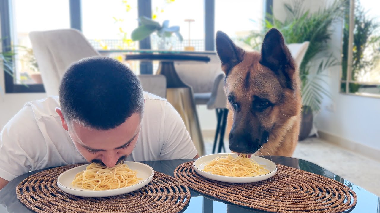 Spaghetti Eating Competition: My German Shepherd Dog vs. Me