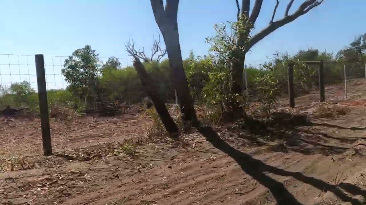 Dingo Fence Going Up - The Construction Of The Orchid Beach Dingo Fence Begins  | All About Fraser