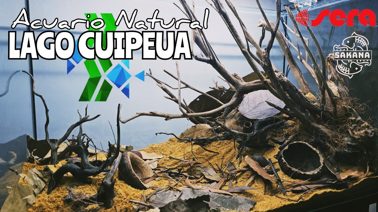 ACUARIO NATURAL LAGO CUIPEUA