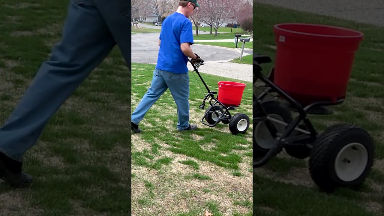 Grass Recovery: Tackling Snow Mold Damage & Over-Seeding Challenges