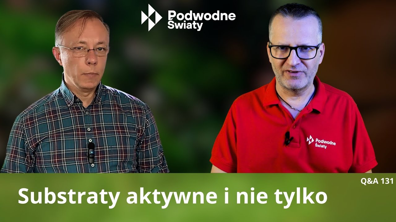 Q&A131. Substraty aktywne i nie tylko