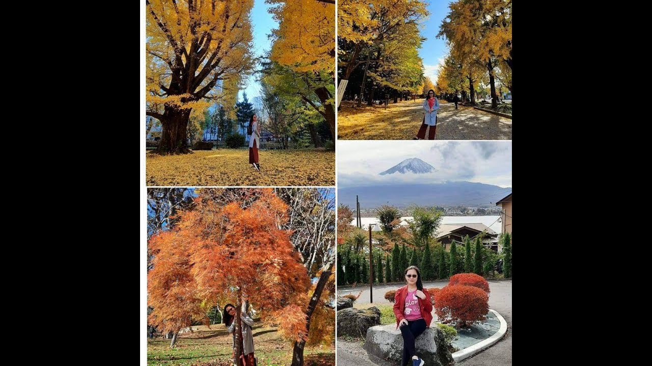 MT FUJI and HOKKAIDO JAPAN ESCAPADE|JAPAN TRAVEL|JEBLET EVER