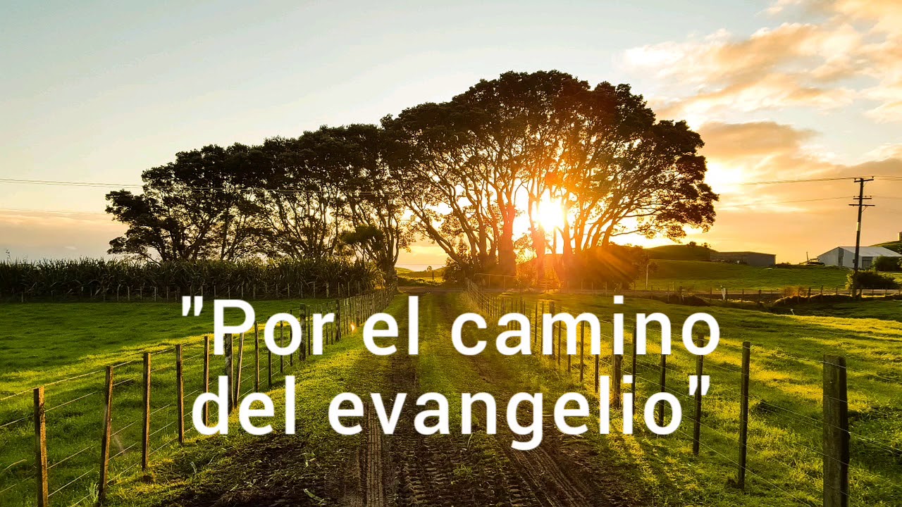POR EL CAMINO DEL EVANGELIO