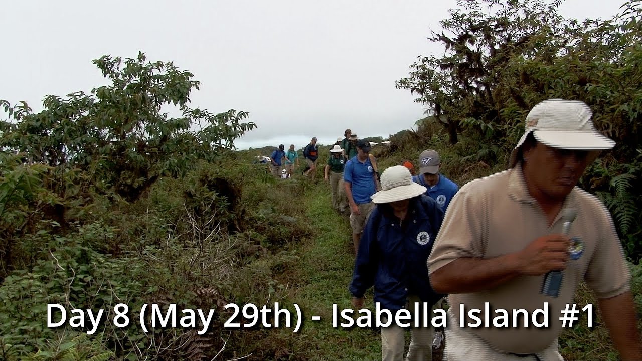 Day 08 (May 29th) - Isabella Island #1