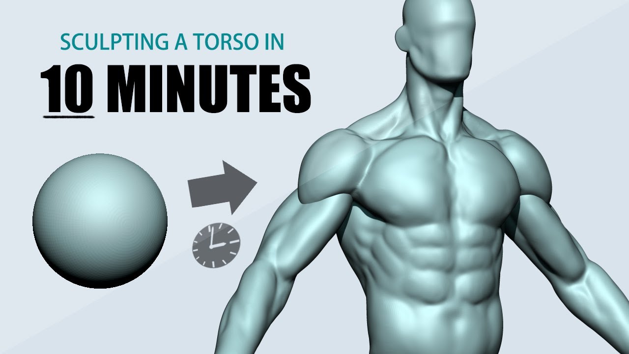 Создание торса с помощью ZBrush за 10 минут