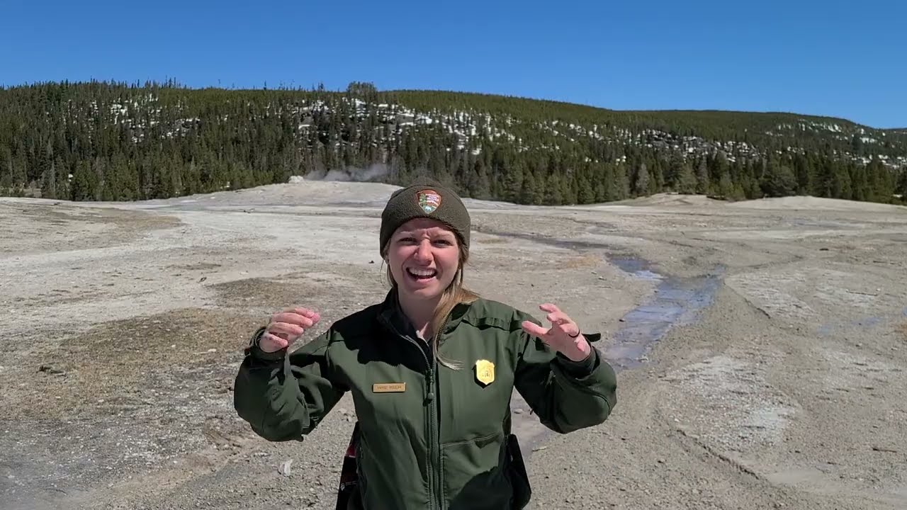 Geysers