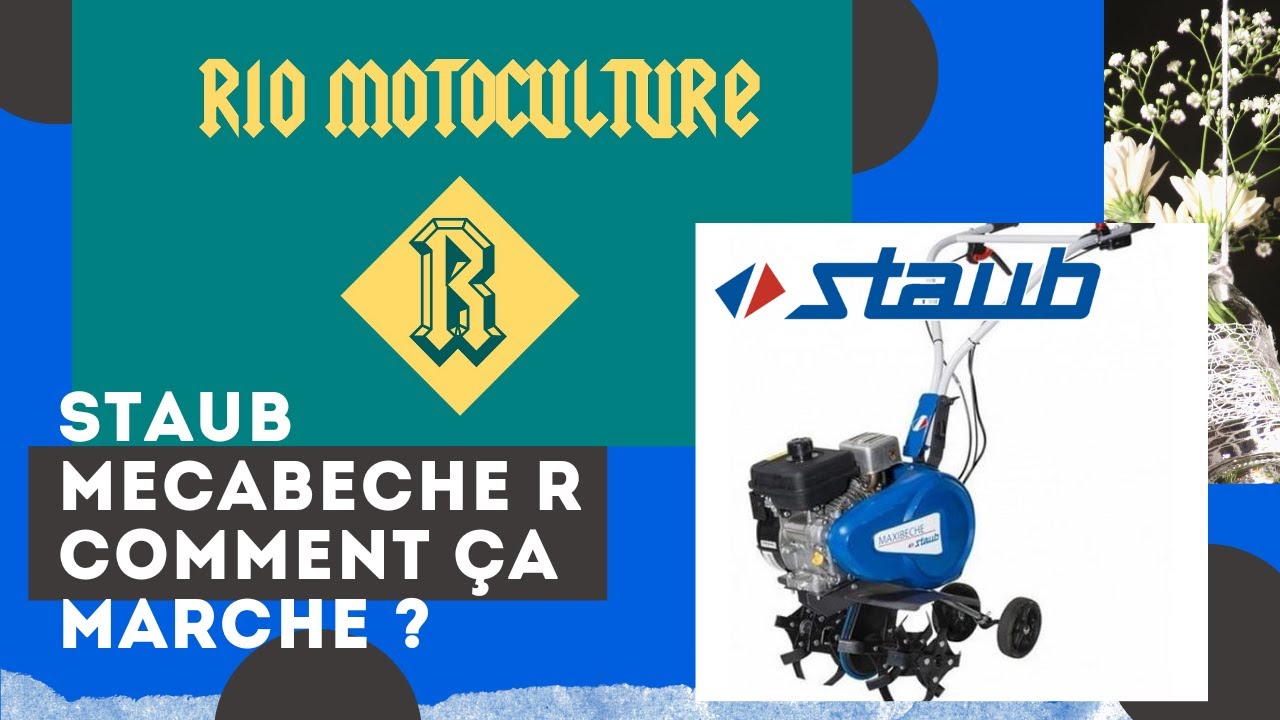Maxibeche staub