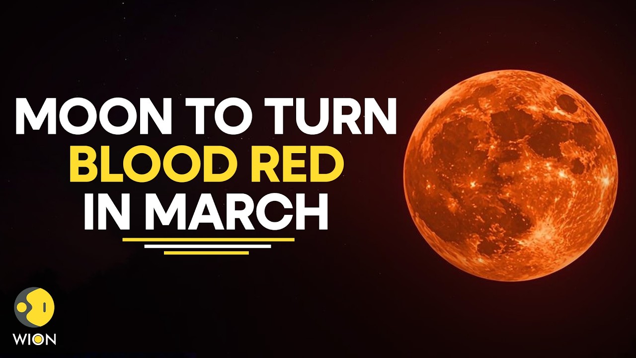 Blood Moon 2026: Blood Moon Returns In March, First Total Lunar Eclipse Of 2026&nbsp;| WION Originals