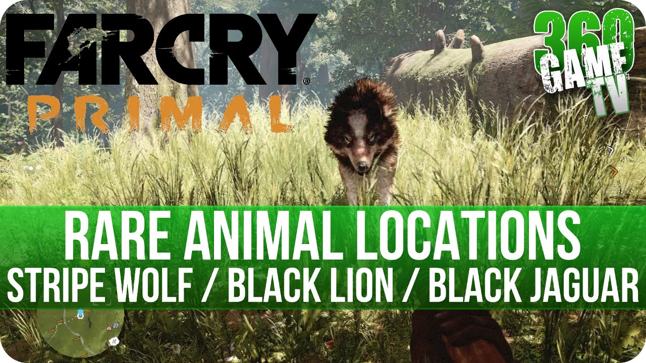 Far Cry Primal - Rare Stripe Wolf / Rare Black Lion / Rare Black Jaguar Animal Locations