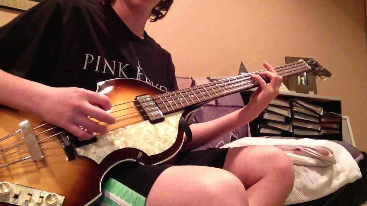 Hofner 500/1 bass vs. Hofner icon bass pt.2