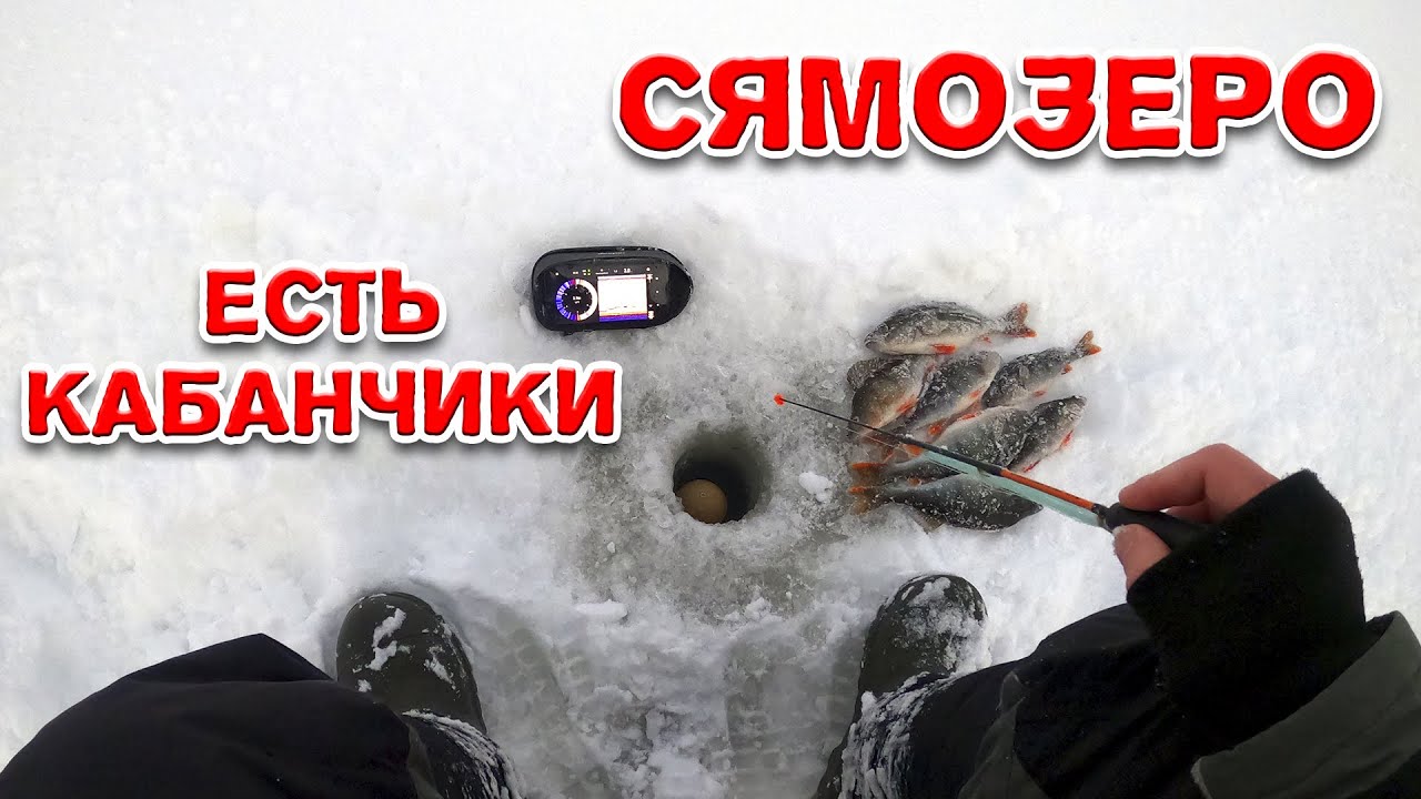 Рыбалка на Сямозере. Нашёл хороших окуней. Эхолот Deeper CHIRP+ 2. Зимняя рыбалка в Карелии 2021