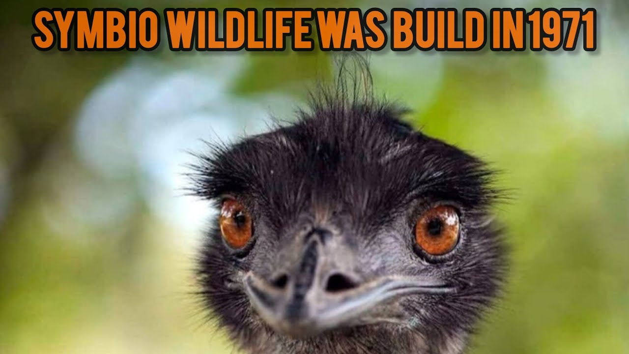 Symbio Wildlife Animals Park Near Sydney was Build in 1971