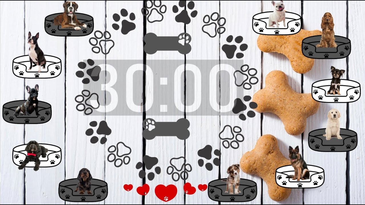 30 Minute Timer - Dog Themed