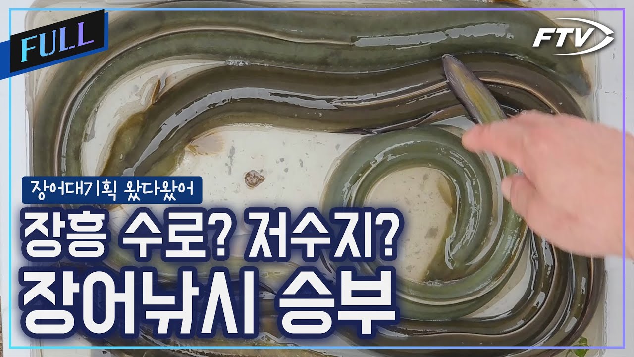 [Full]장흥 수로vs저수지! 장어 낚시 대결의 승자는?[장어대기획 왔다왔어 3회]