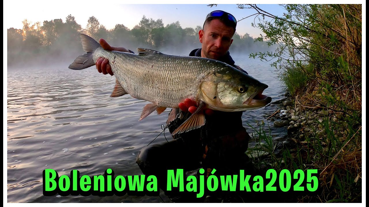 Sezon 2025 Otwarty !!! Boleniowa pasja wraca !!!
