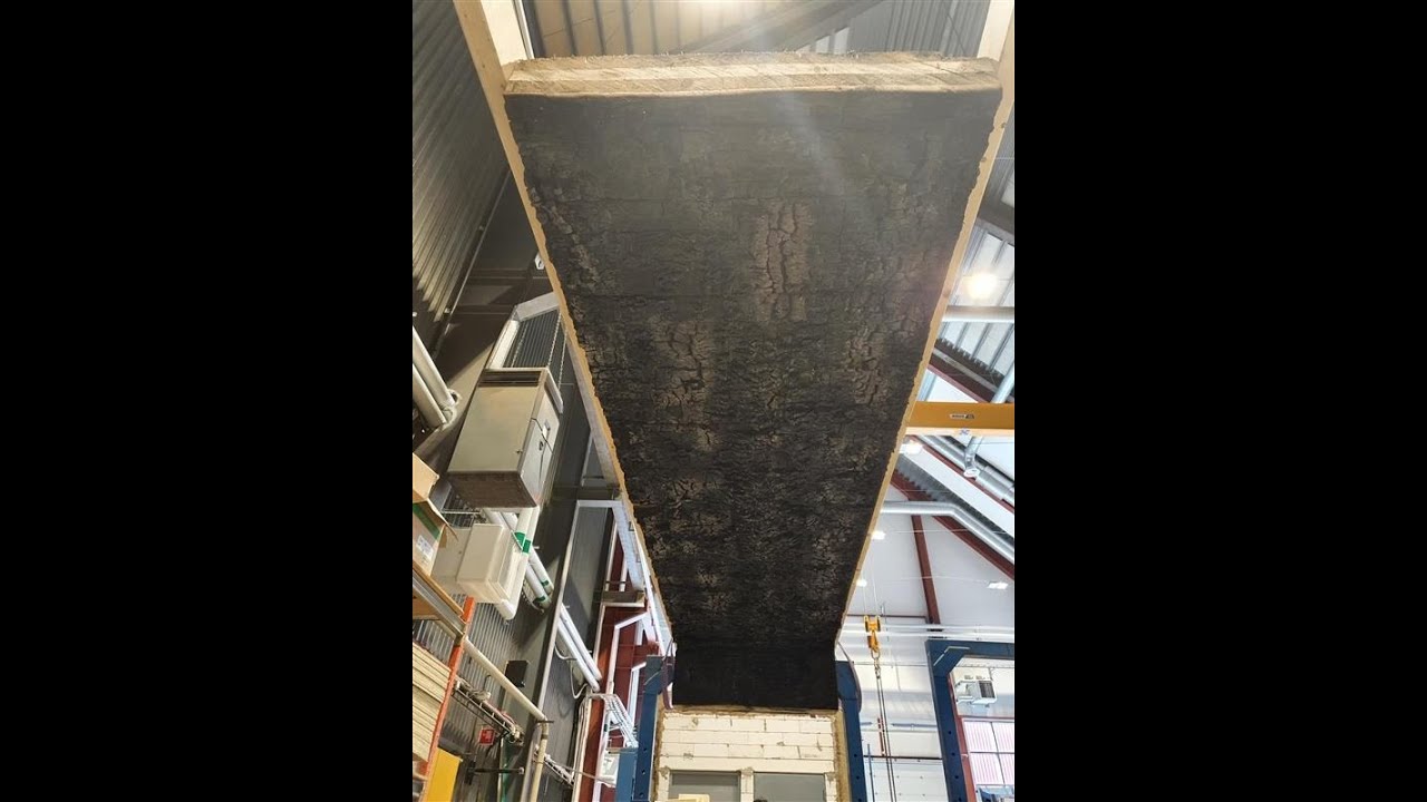 Post-Fire Rehabilitation of CLT - Summary Video