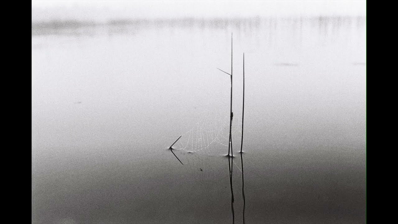 Misty Lake