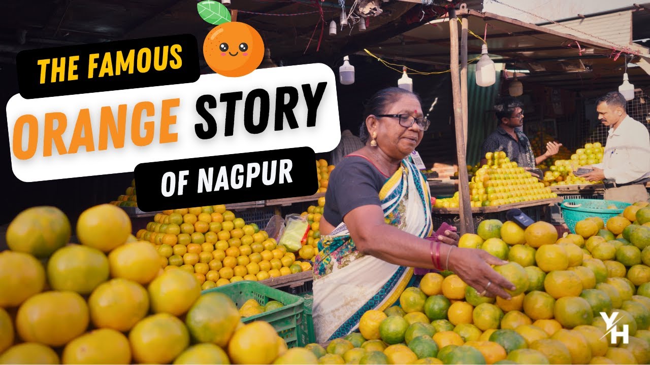 The Orange Story of Nagpur | Young Homie | JollyGul Global Village Channel