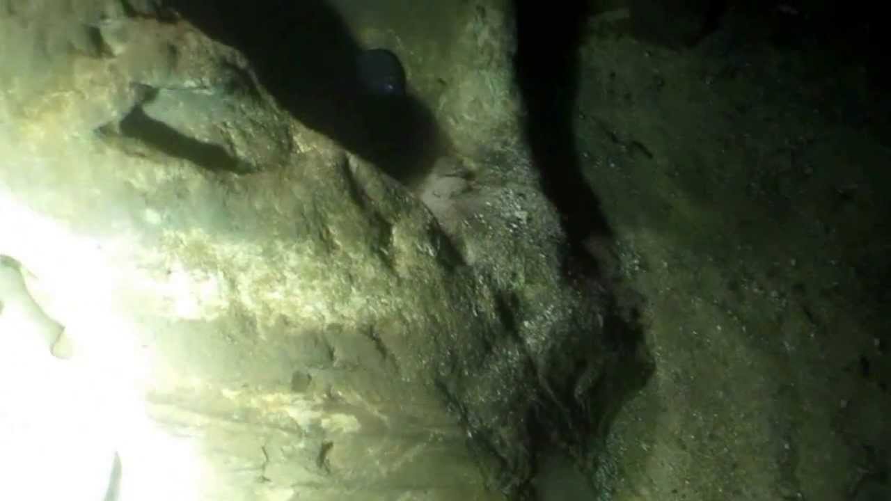 Jezioro Siecino nurkowanie z brzegu