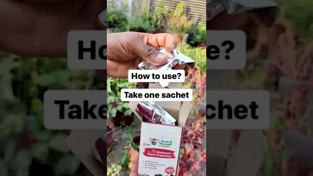 How to prevent any pest attack to your plants?