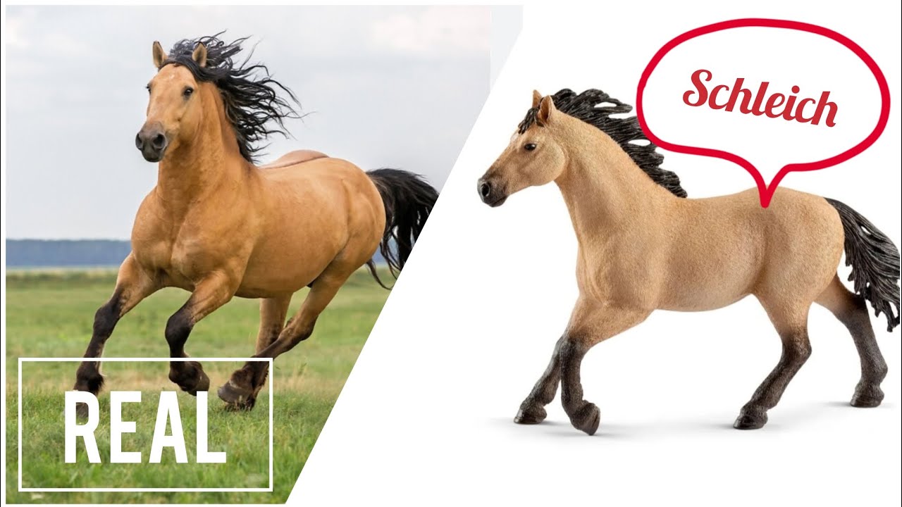 REAL Horses Vs Schleich Horses | What Would REAL Horses Look Like as MODEL Horses?! |