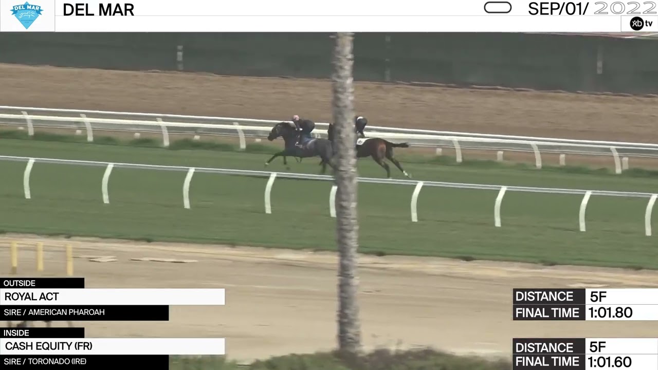 Work of the Day at Del Mar: Royal Act and Cash Equity worked 5 Furlongs on September 1st, 2022.