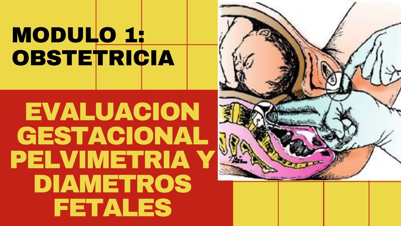 EVALUACION GESTACIONAL ,- PELVIMETRIA Y DIAMETROS FETALES