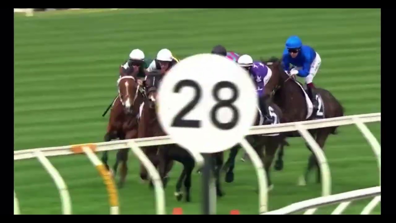 2025 Crown Makybe Diva Stakes G1 Mr Brightside 