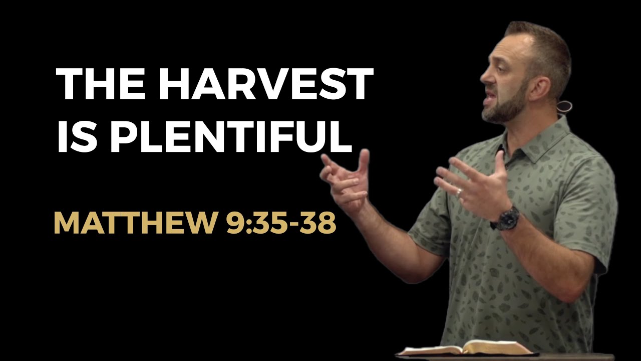 Matthew (66): &ldquo;The Harvest is Plentiful&rdquo; (Matthew 9:35-38) | Costi Hinn