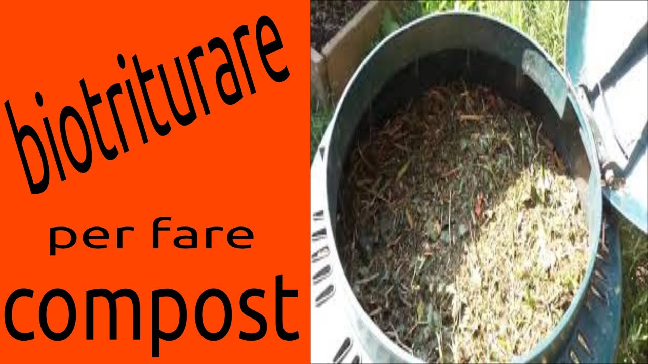 il mio compost come si comporta dopo solo 7 giorni ??? andiamo ad aggiungere materiale bio-triturato