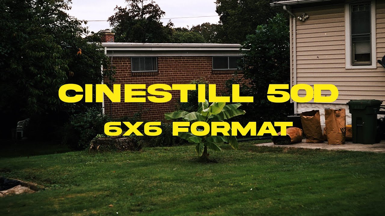 Cinematic Colors: Shooting Cinestill 50D with the Mamiya C330