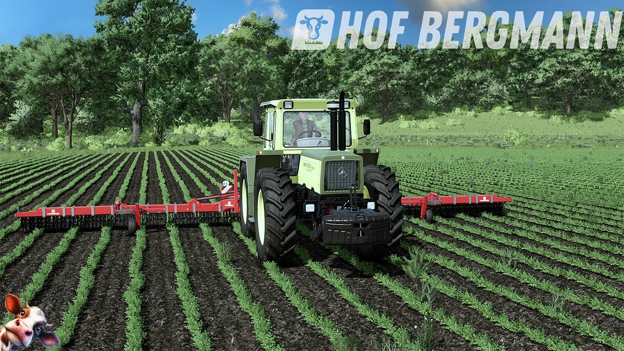 LS25 / Hof Bergmann # 161