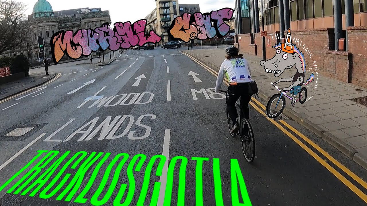 MURAL CAT -  racing to find Glasgow’s street art in match day traffic