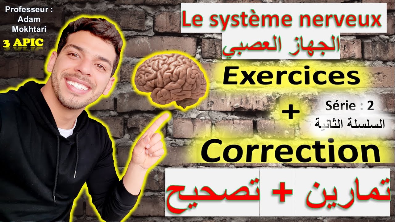 Exercices corrigés (série 2) - Système nerveux (الجهاز العصبي) - 3ème année collégial - Maroc