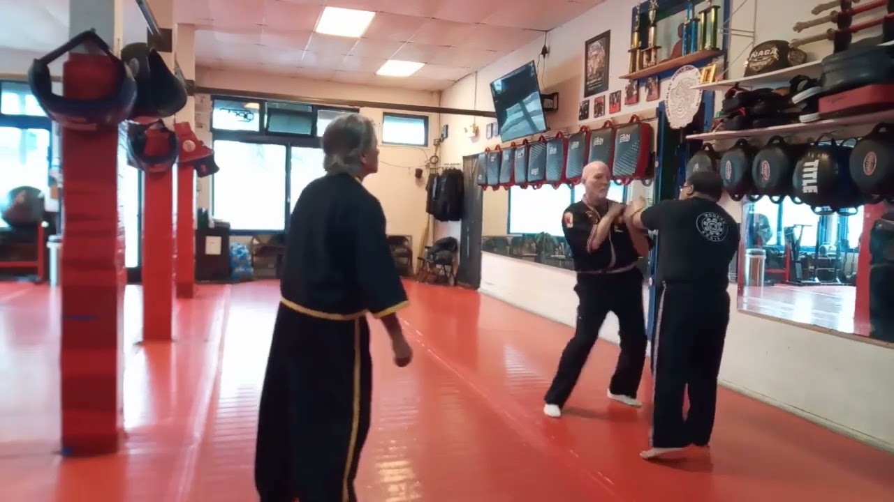 Modern Arnis Class  Empty hand techniques  Dr. Remy Presas Jr