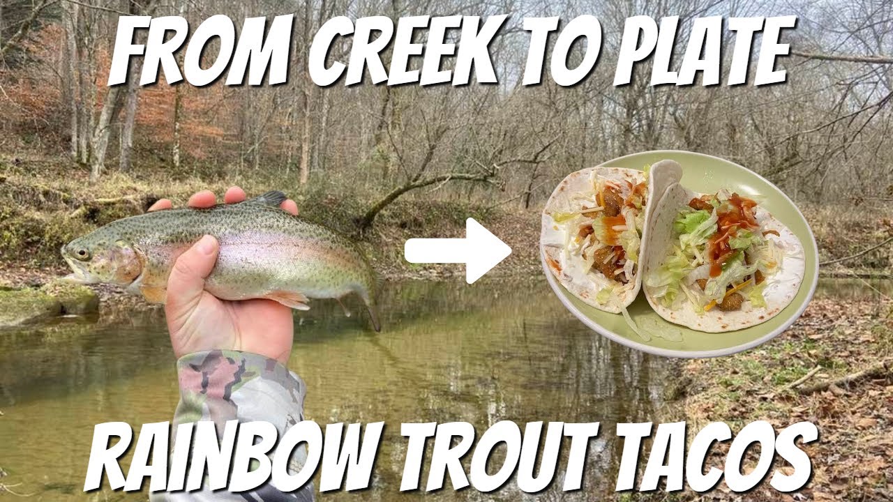 From CREEK to PLATE---Rainbow Trout Fishing in an Ohio Stream (catch and cook)