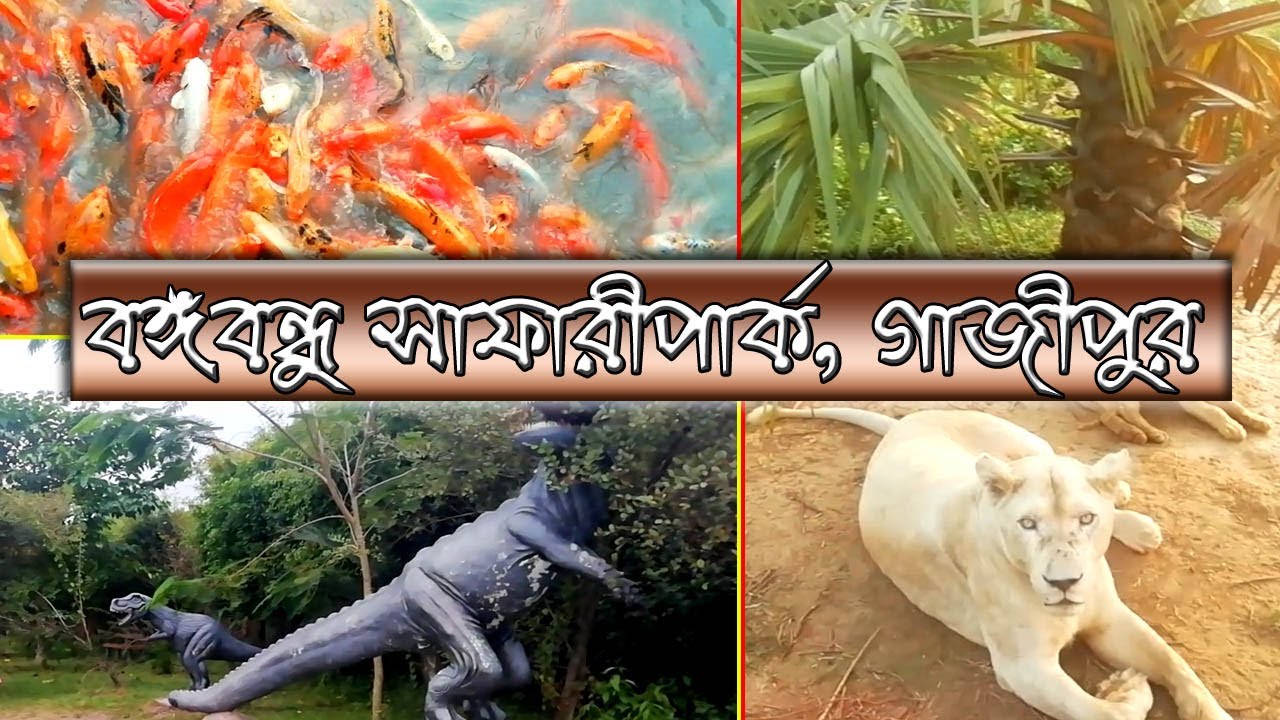 Bangabandhu Safari Park, Gazipur, বঙ্গবন্ধু সাফারী পার্ক, গাজীপুর