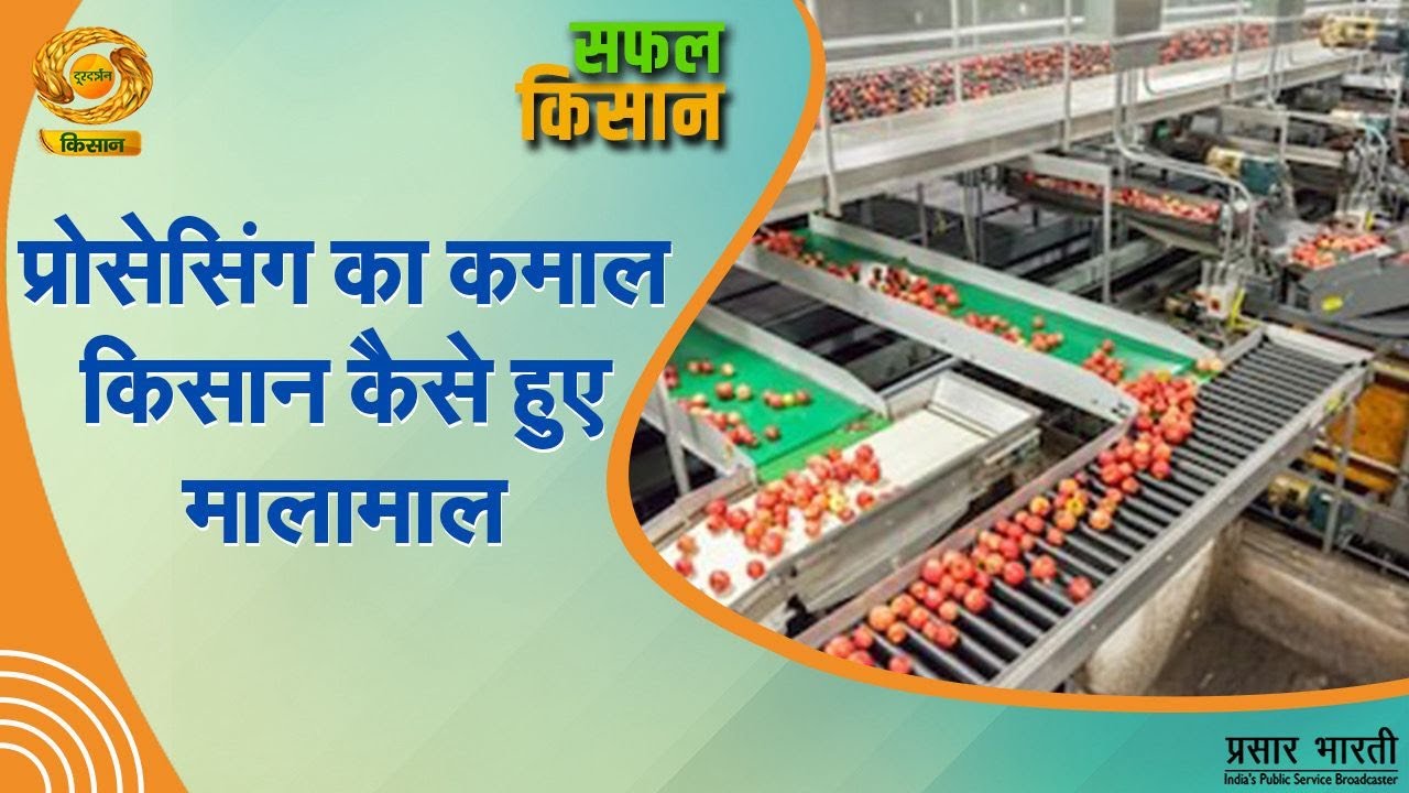 Safal Kisan | सफल किसान- प्रोसेसिंग का कमाल किसान कैसे हुए मालामाल | DD Kisan | January 20, 2026