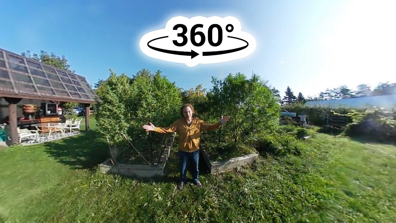 Dreamers 360&deg; Cannabis Tour