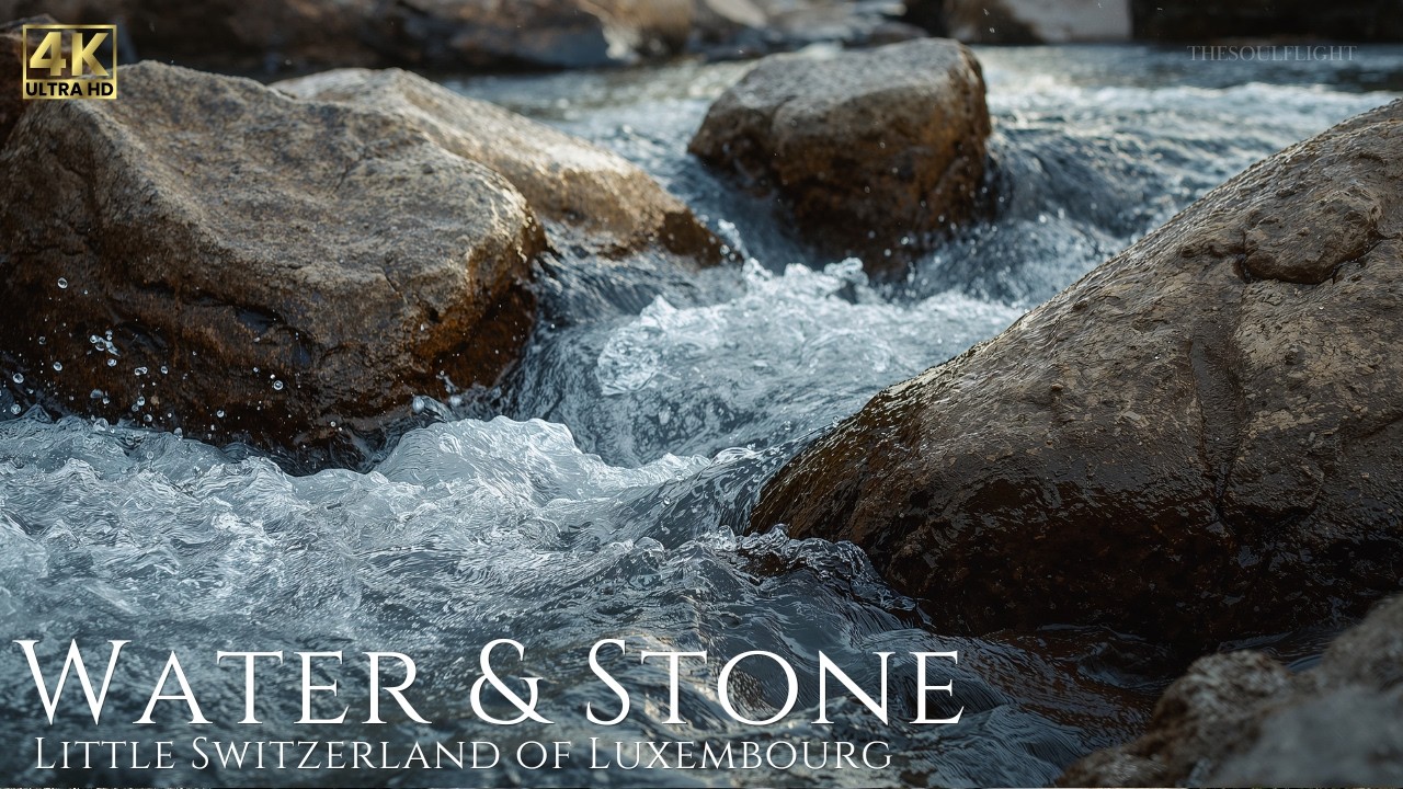 Between Water and Stone | Calm Mullerthal | Luxembourg