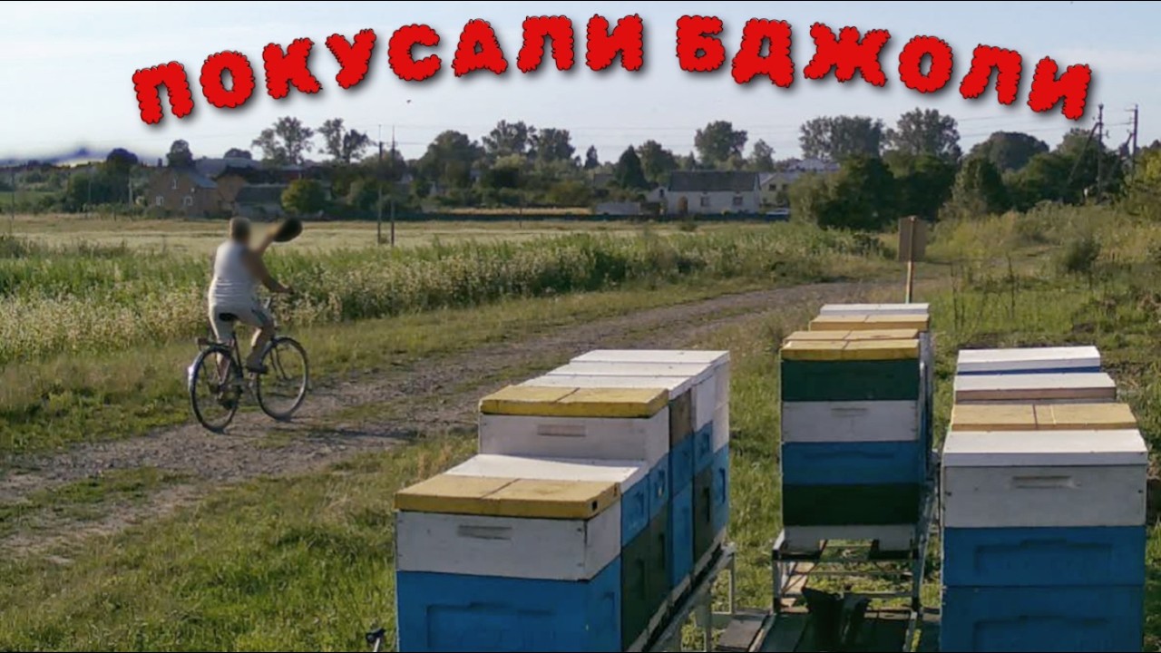 ДОКОЧУВАСЯ. 
