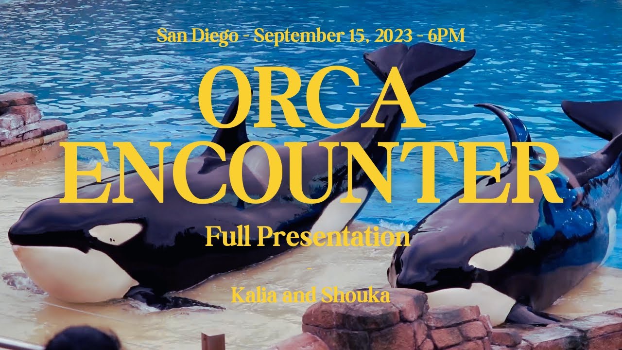 Orca Encounter (Full Show) - Featuring Kalia and Shouka - September 15 - SeaWorld San Diego