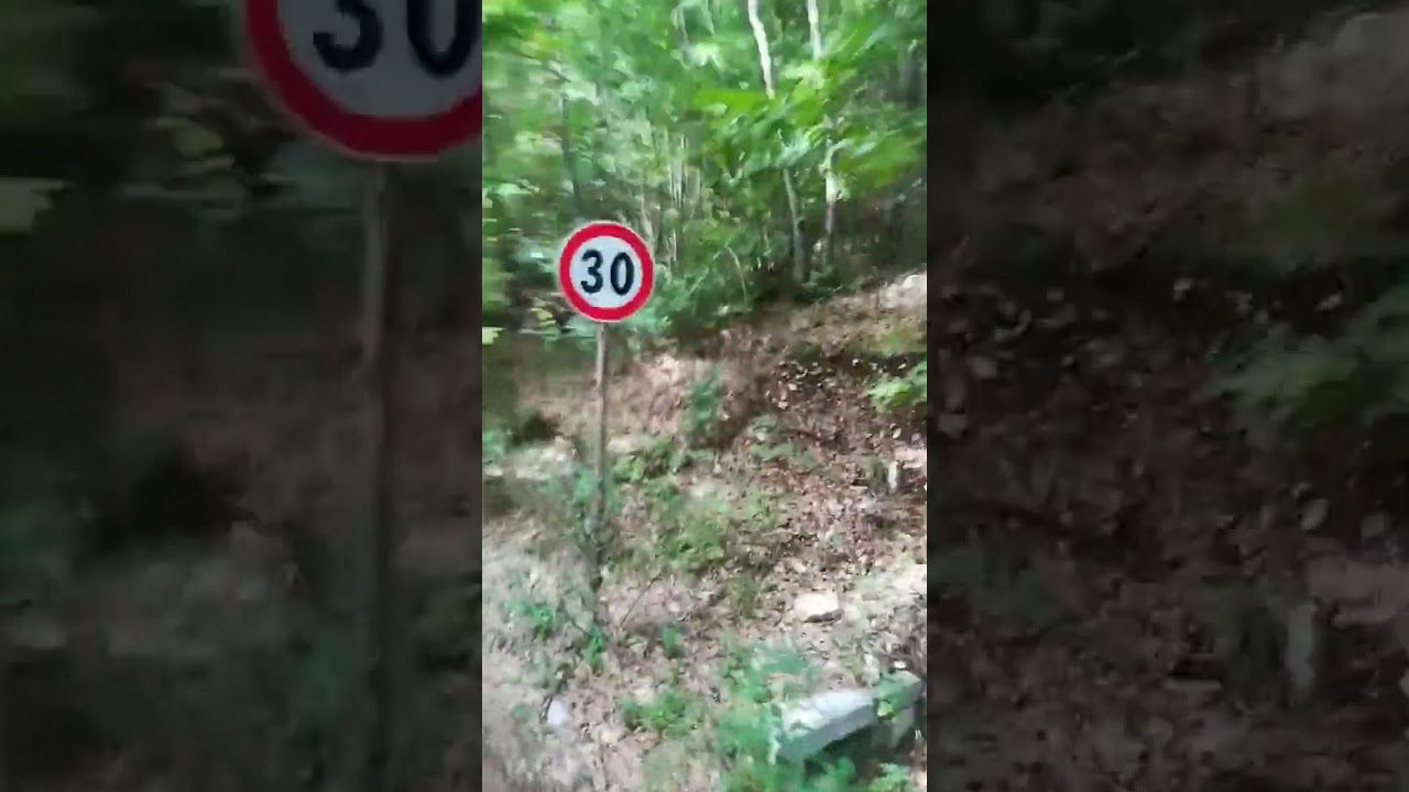 Cartore alla scoperta della rassegna equina TPR