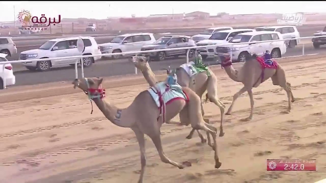 ش2 عجيب لـ سلمان عبيد سلمان آل تميم الدوسري (مهرجان ولي العهد 23-7-2022) مفاريد قعدان 3:02:66