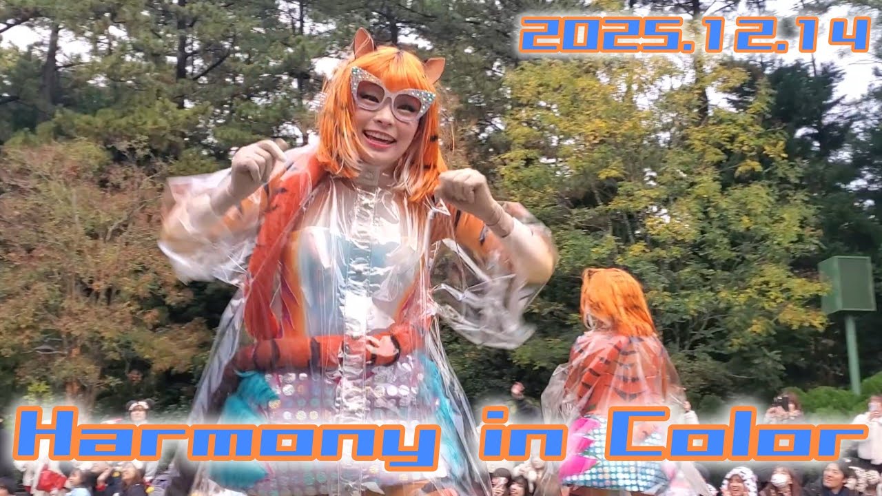 ハーモニー・イン・カラー/2025.12/雨…カッパ着用バージョン♪