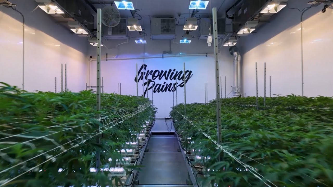 Growing Pains Tour: An Inside Look at Premier Michigan Cannabis