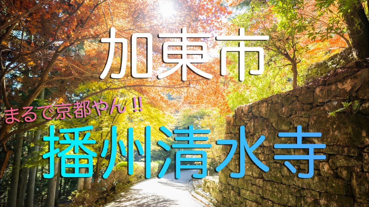 【兵庫県加東市】小京都・播州清水寺の極上紅葉散歩| 兵庫観光旅行vlog | Kiyomizu-dera Temple in Kato City, Hyogo (Banshu).